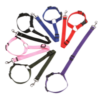 Adjustable Pet Car Seat Belt Leash — Safety Travel Strap