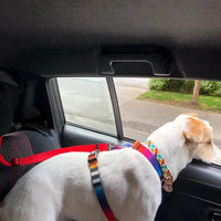 Adjustable Pet Car Seat Belt Leash — Safety Travel Strap